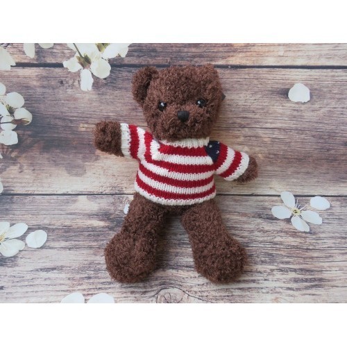Gấu Mặc Áo 30cm PT19